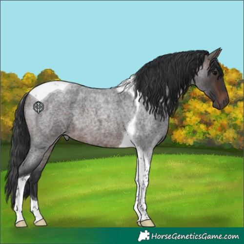 Horse Color:Brown Roan Tobiano 