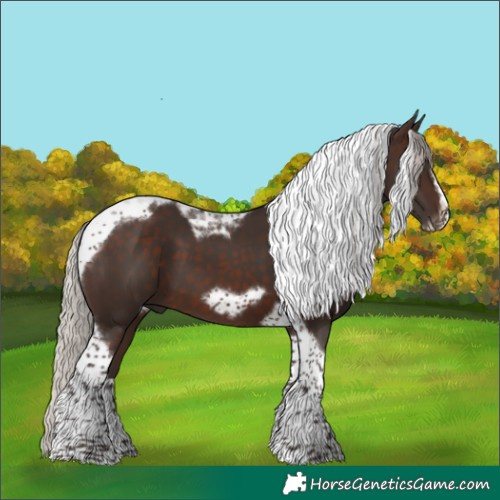 Horse Color:Silver Brown Tobiano Frame 