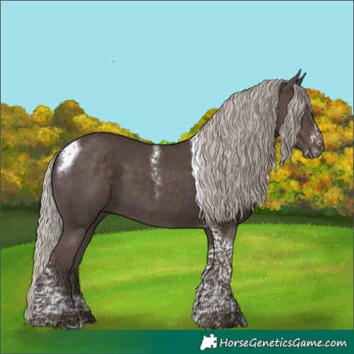 Horse Color:Silver Black Tobiano Frame