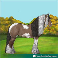 Horse Color:Liver Red Dun Tobiano Frame