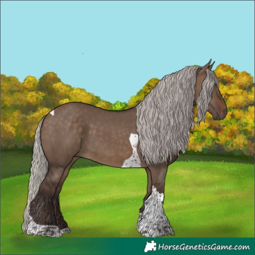 Horse Color:Silver Brown Dun Tobiano