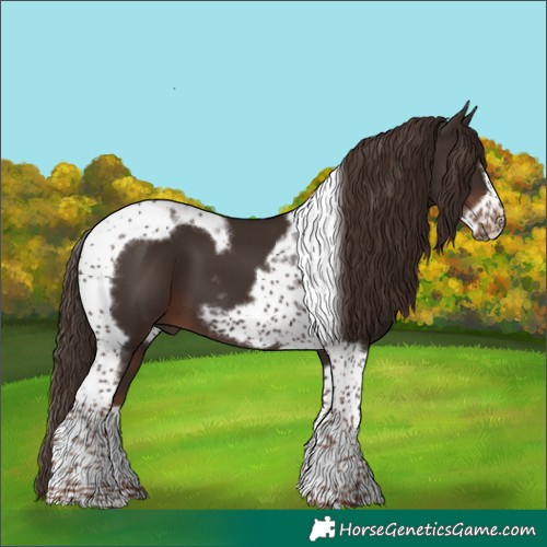Horse Color:Liver Chestnut Tobiano Frame 