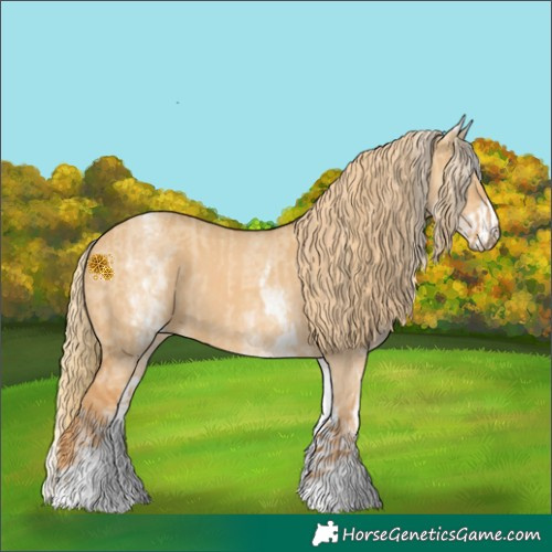 Horse Color:White Spotted Red Dun Rabicano  and White Spotted Red Dun Rabicano 
