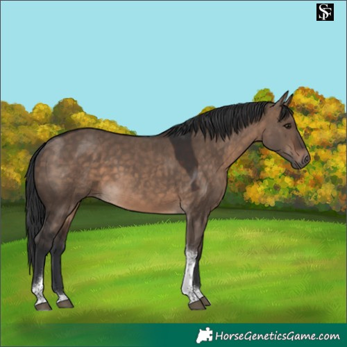 Horse Color:Brown Dun Tobiano 