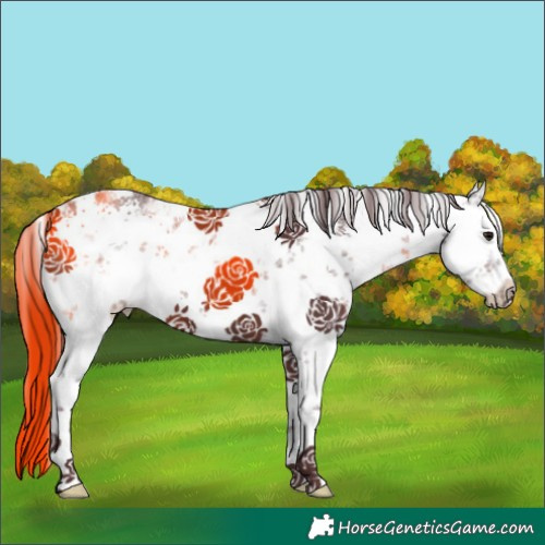 Horse Color:White Spotted Chocolate Brown Sabino 