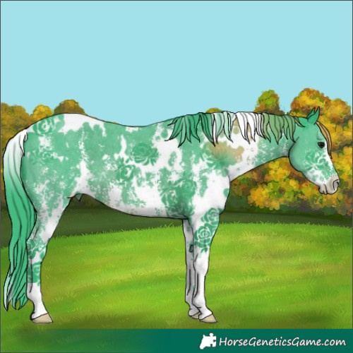 Horse Color:Watercolor White Spotted Black Sabino 