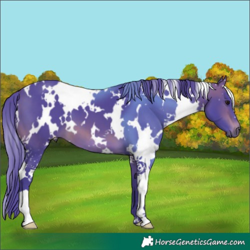 Horse Color:Watercolor White Spotted Brown 