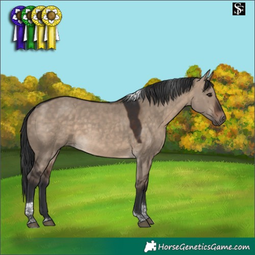 Horse Color:Brown Dun Tobiano 