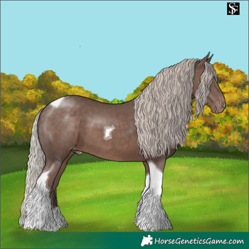 Horse Color:Silver Black Tobiano Appaloosa 