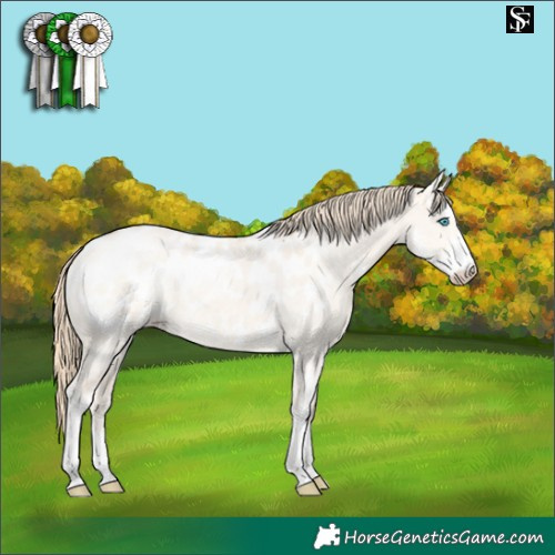 Horse Color:Perlino Dun Sabino Blanket