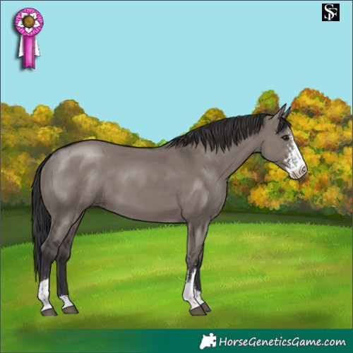 Horse Color:Smoky Grullo Sabino 