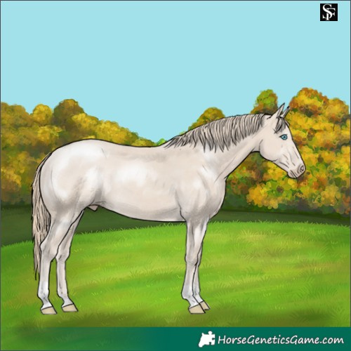 Horse Color:Smoky Creme 