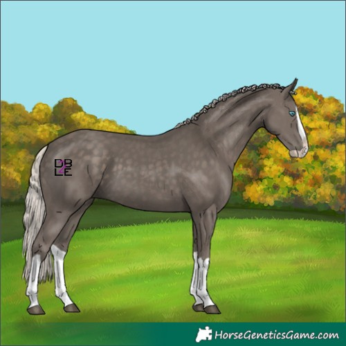 Horse Color:Silver Black Splash 