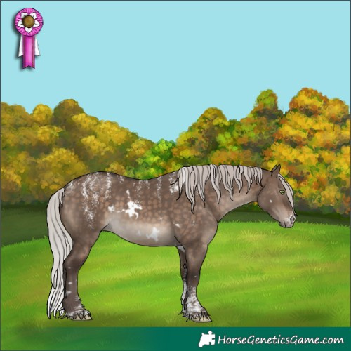 Horse Color:Powder White White Spotted Silver Brown Dun