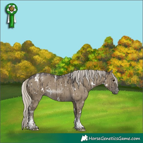 Horse Color:Powder White White Spotted Silver Smoky Grullo Brindle 