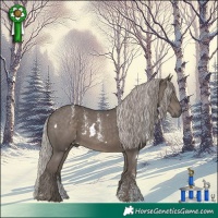 Horse Color:Powder White White Spotted Silver Black