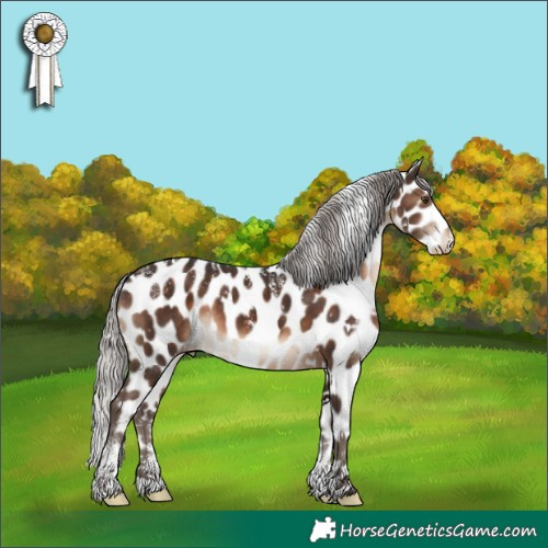 Horse Color:Powder White White Spotted Silver Brown Leopard
