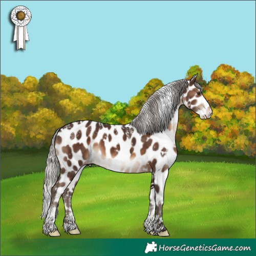 Horse Color:Powder White White Spotted Silver Brown Appaloosa 