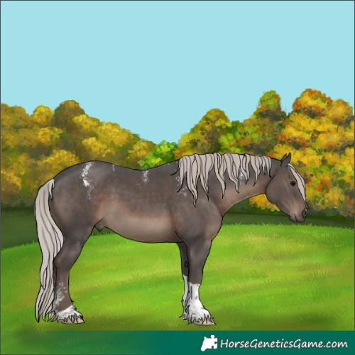 Horse Color:Powder White Silver Black Tobiano 