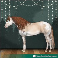 Horse Color:Gray Sable Cream Champagne Pearl Splash Tobiano Rabicano