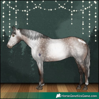 Horse Color:Gray Brown Pearl Tobiano Skewed Appaloosa Rabicano