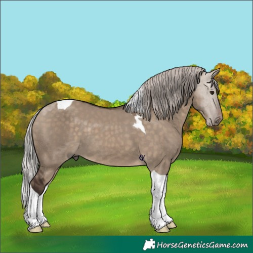 Horse Color:Silver Brown Dun Tobiano 