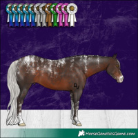 Horse Color:Powder White Silver Brown