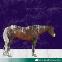 Horse Color:Powder White Silver Brown 