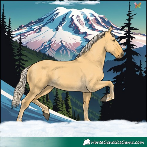 Horse Color:Palomino Dun