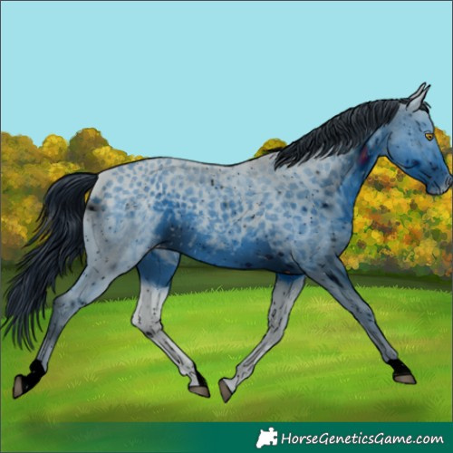 Horse Color:ERROR: UNKNOWN ANOMALY