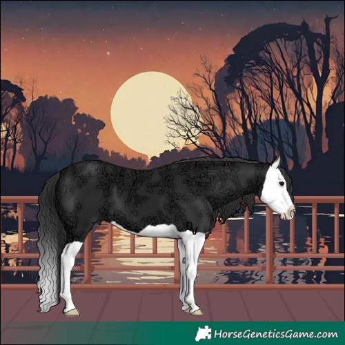 Horse Color:Black Ice Mushroom Splash 