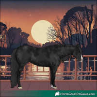 Horse Color:Black Ice Mushroom Splash