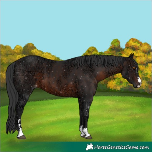 Horse Color:Brown Ice Mushroom