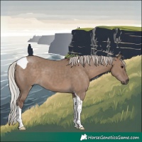 Horse Color:Silver Grullo Tobiano 