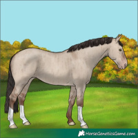 Horse Color:Sable Champagne Dun Brindle 
