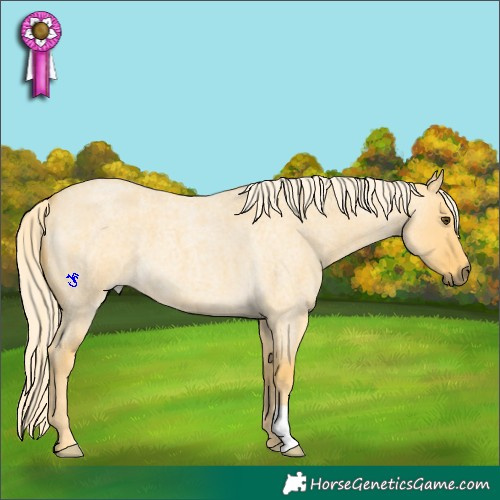 Horse Color:Palomino Roan Dun