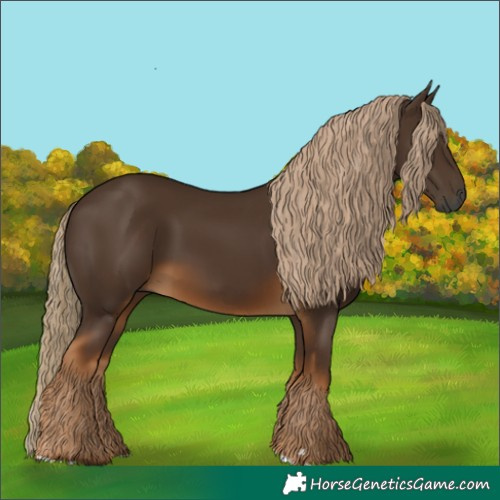 Horse Color:Gray Chocolate Palomino 