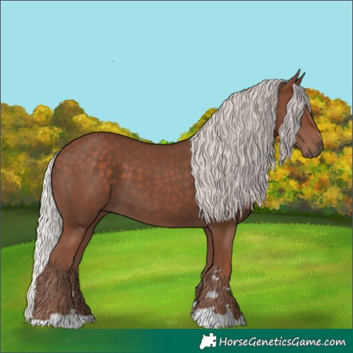 Horse Color:Silver Black 