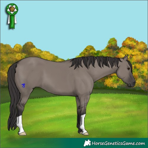 Horse Color:Smoky Grullo 
