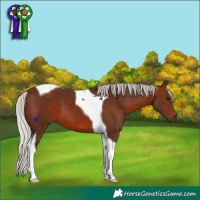 Horse Color:Silver Bay Tobiano