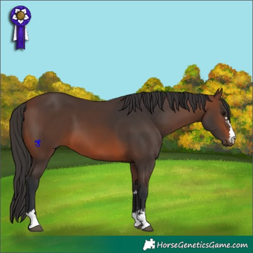 Horse Color:Brown 