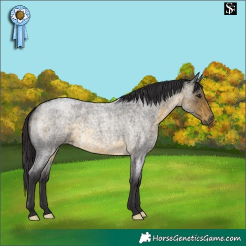 Horse Color:Buckskin Roan 