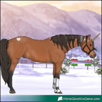 Horse Color:Bay Tobiano