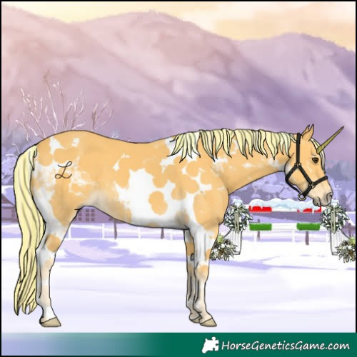 Horse Color:Painted Palomino Tobiano