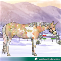 Horse Color:Nacre Palomino Tobiano 