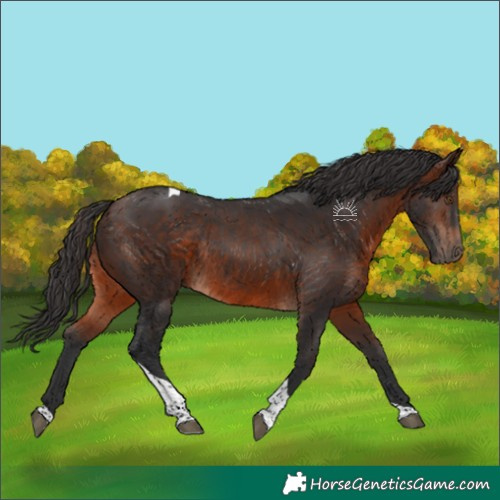 Horse Color:Brown Tobiano Rabicano