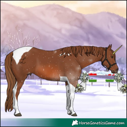Horse Color:Chestnut Tobiano 