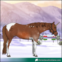Horse Color:Chestnut Tobiano 