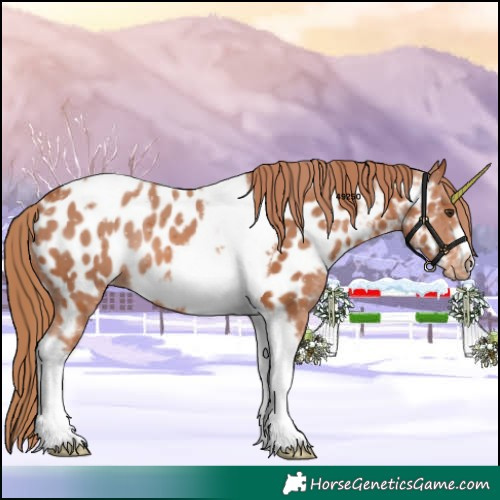 Horse Color:Chestnut Tobiano Frame Near Leopard 