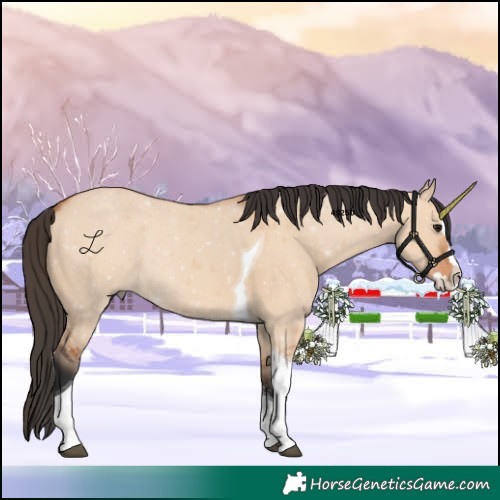Horse Color:Bay Dun Sabino Splash Tobiano 